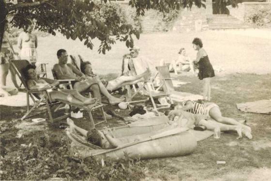 Harold and family relaxing on a lawn: some in folding lawn chairs, two lying on an air mattress, a woman standing at the right, brick steps behind.